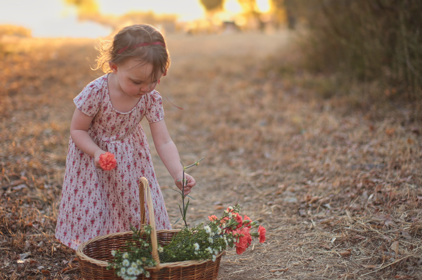 Fleurette ~ Mini Everyday Dress