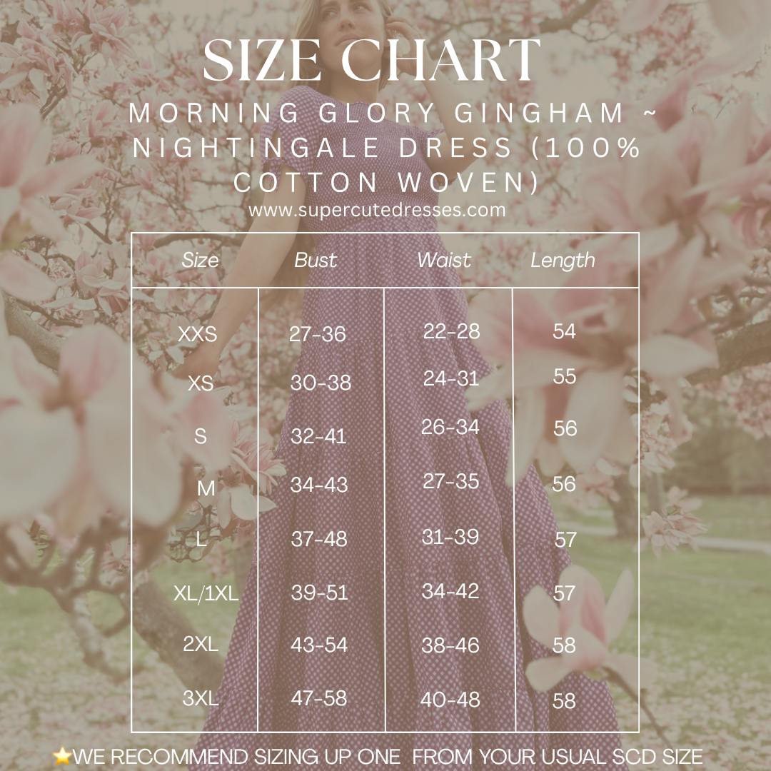Morning Glory Gingham ~ Nightingale Dress