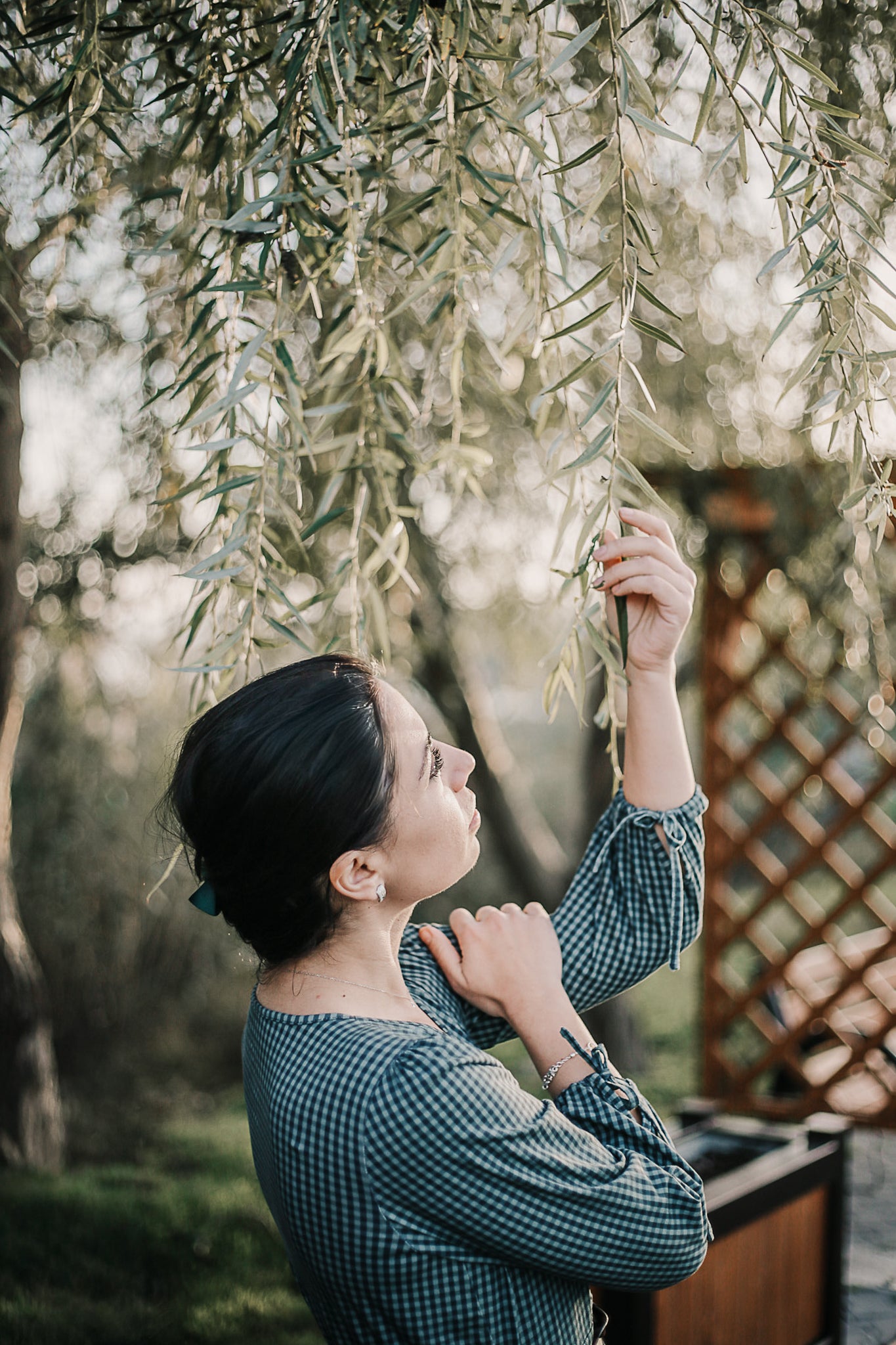 Spruce Gingham ~ Hinterland Dress