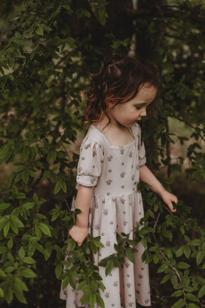 Simply Jane ~ Mini Windermere Dress