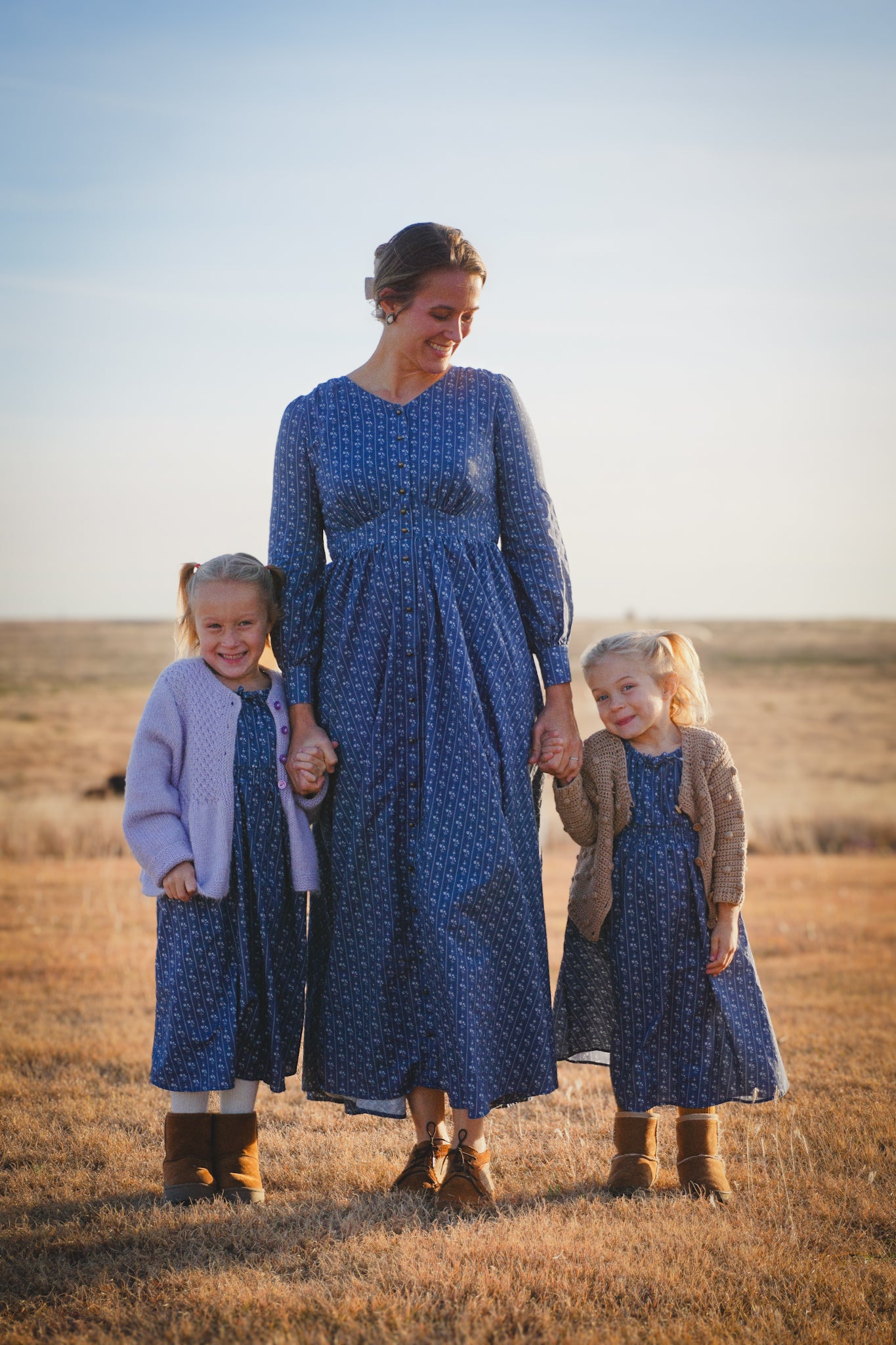 Larkspur ~ Hearthside Maxi