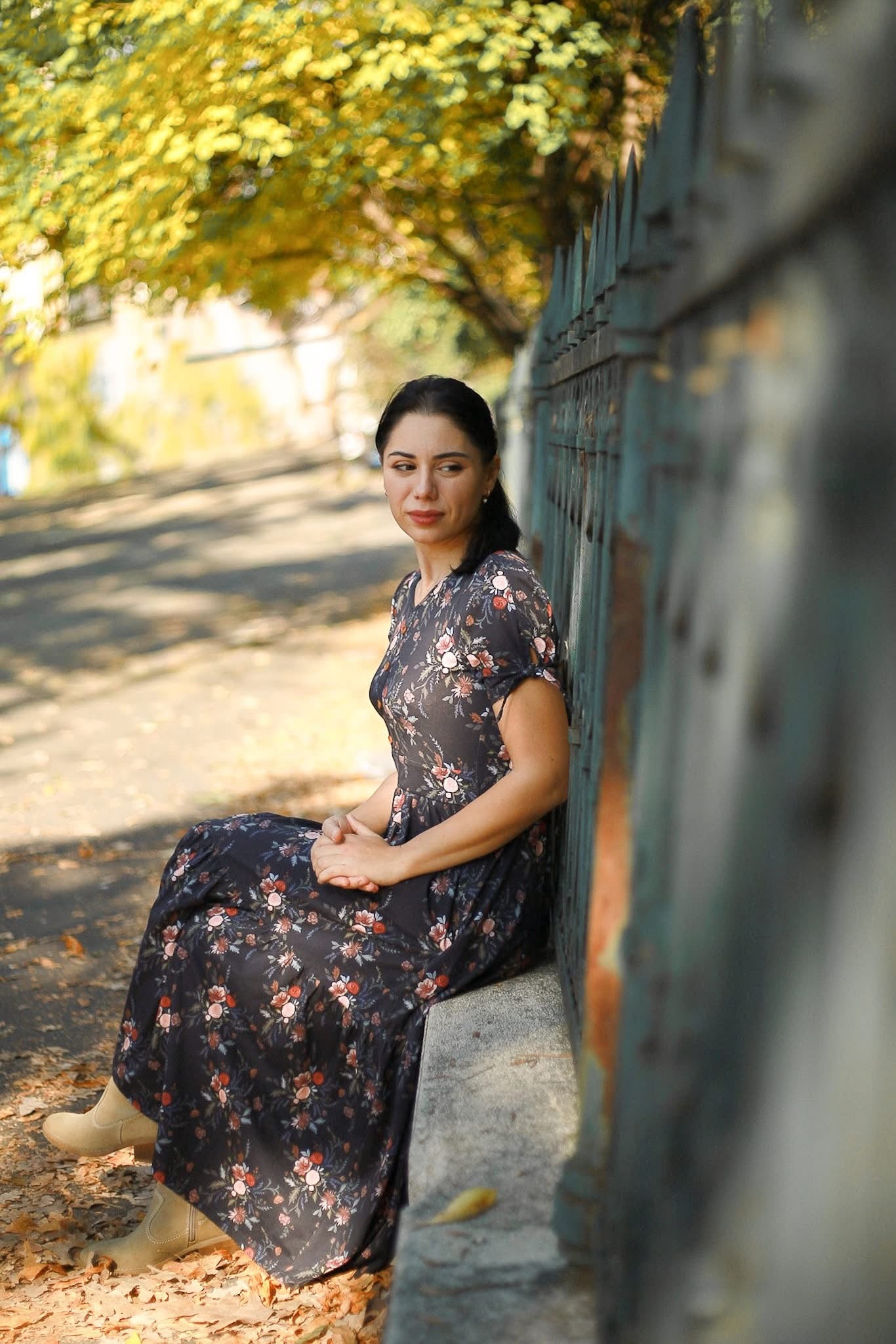 Diana ~ Hinterland Dress