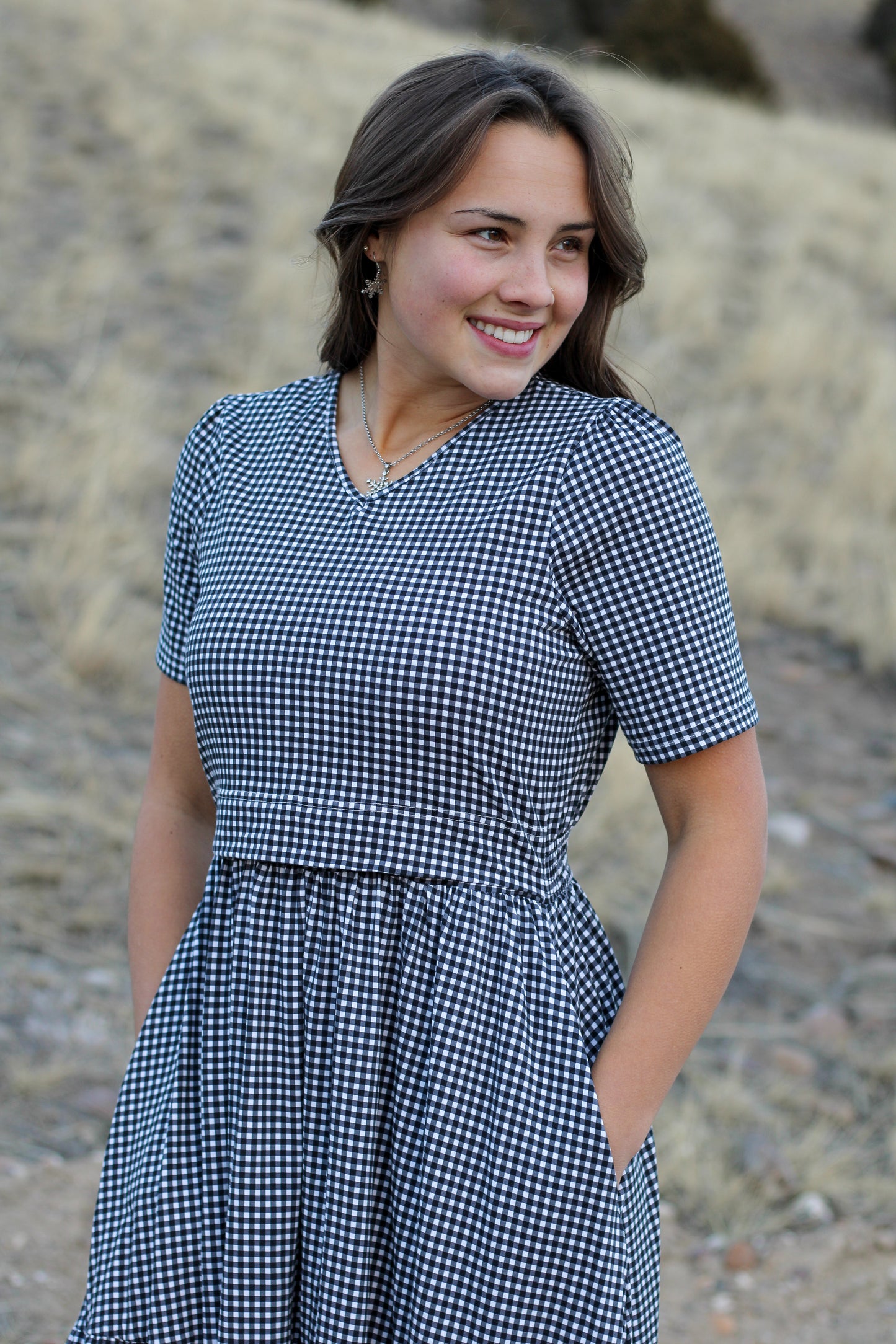 Graphite Gingham ~ Storybook Dress