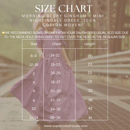 Morning Glory Gingham ~ Mini Nightingale Dress