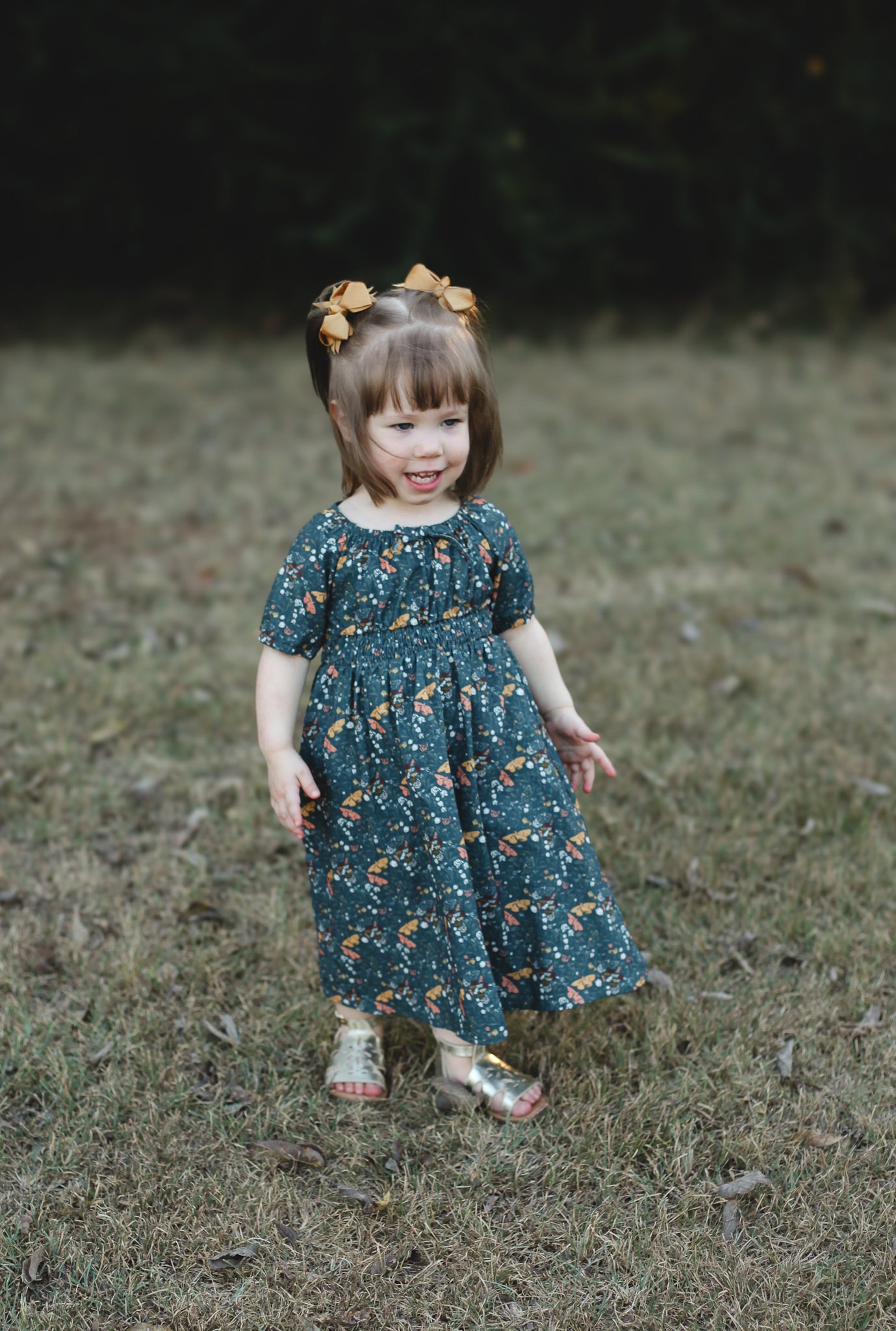 Aurelian Arbor ~ Mini Folklore Dress