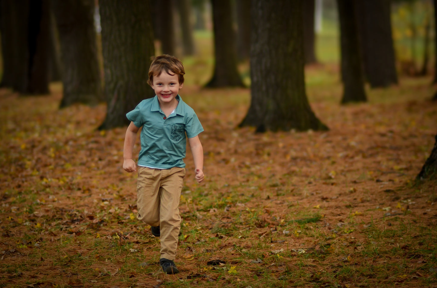 Frolic ~ Perseverance Polo