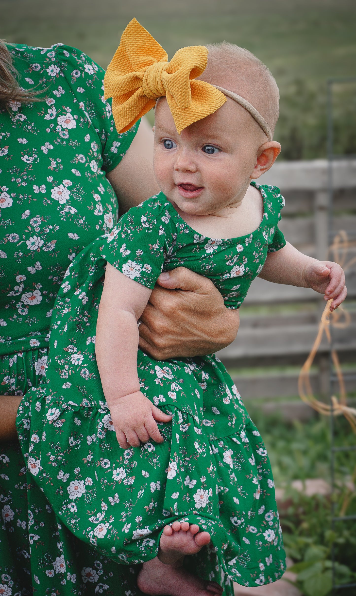 Greenvale Gossamer ~ Novella Dress