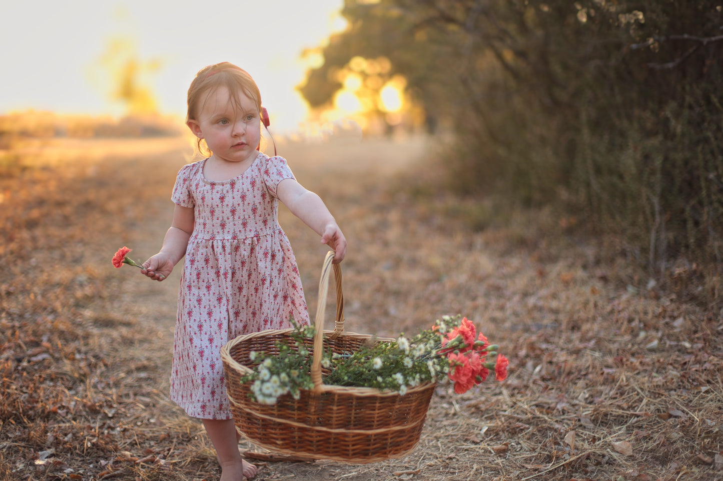 Fleurette ~ Mini Everyday Dress