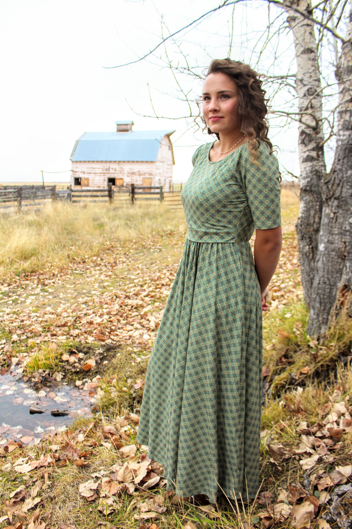 Moor & Mountain ~ Aleda Dress