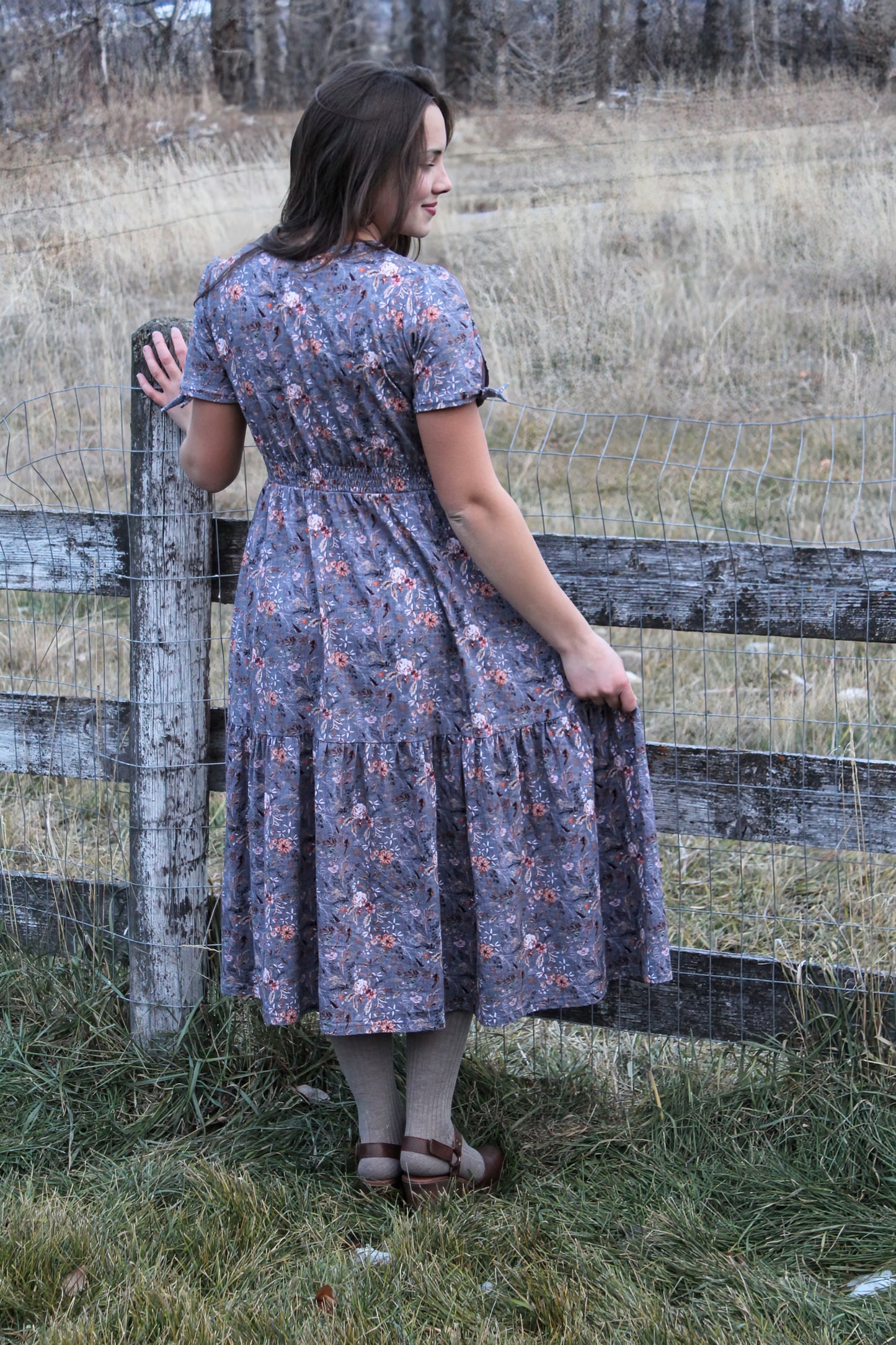 Ingleside ~ Hinterland Dress