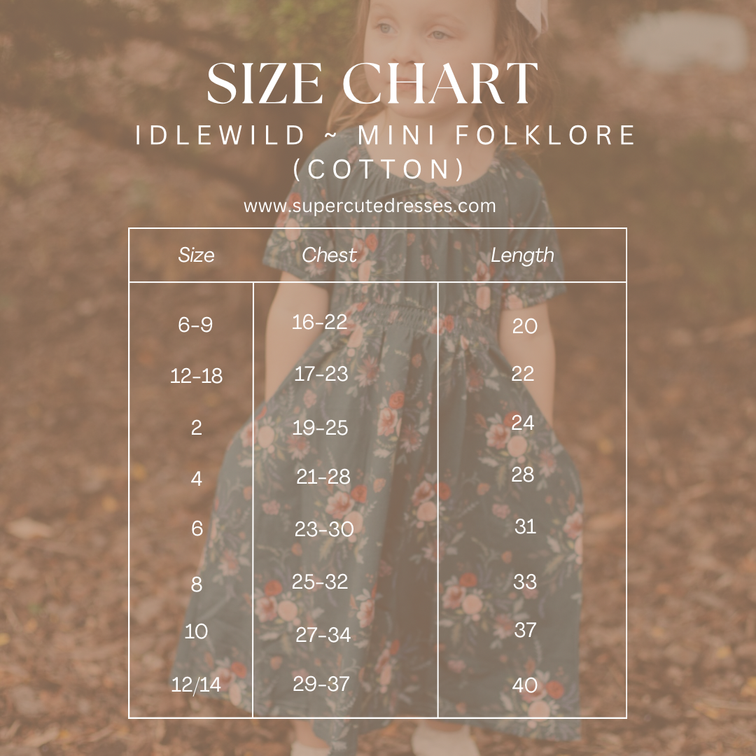 Idlewild ~ Mini Folklore Dress