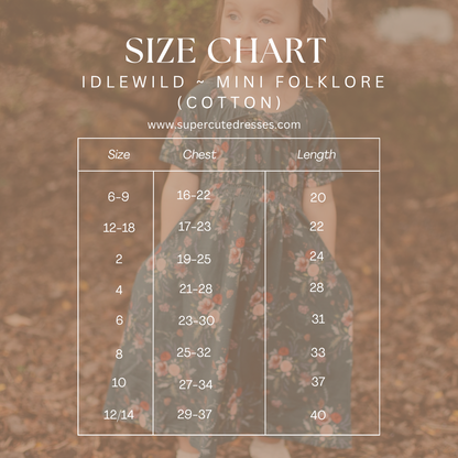 Idlewild ~ Mini Folklore Dress