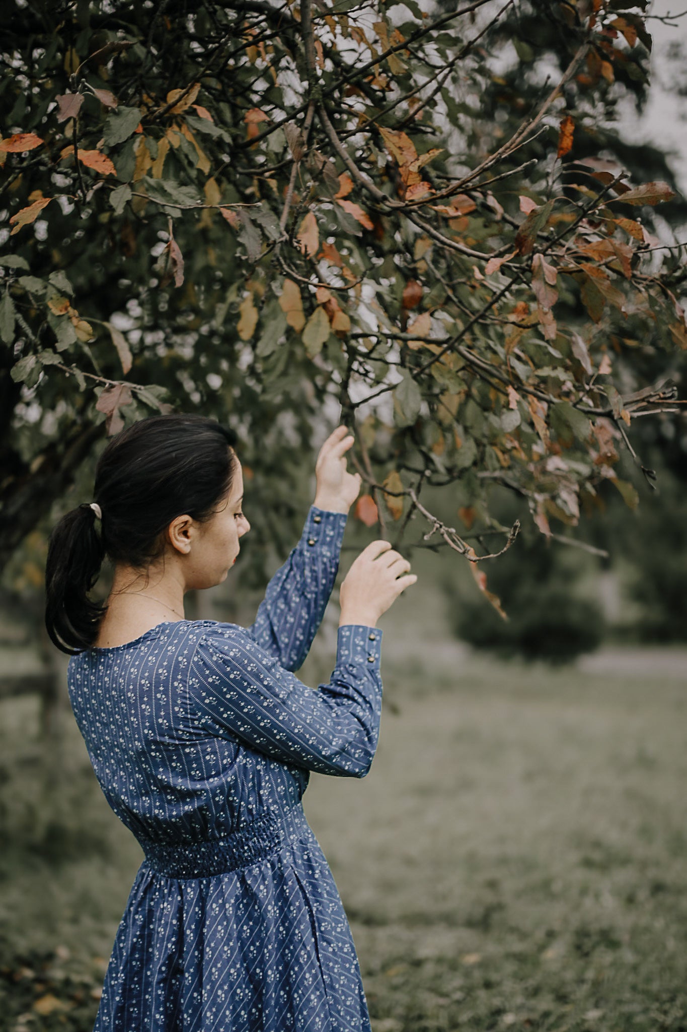 Larkspur ~ Hearthside Maxi