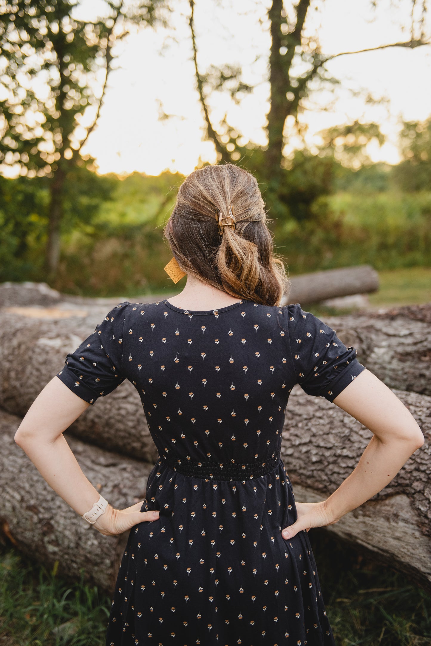 Cinderpetal ~ Storybook Dress
