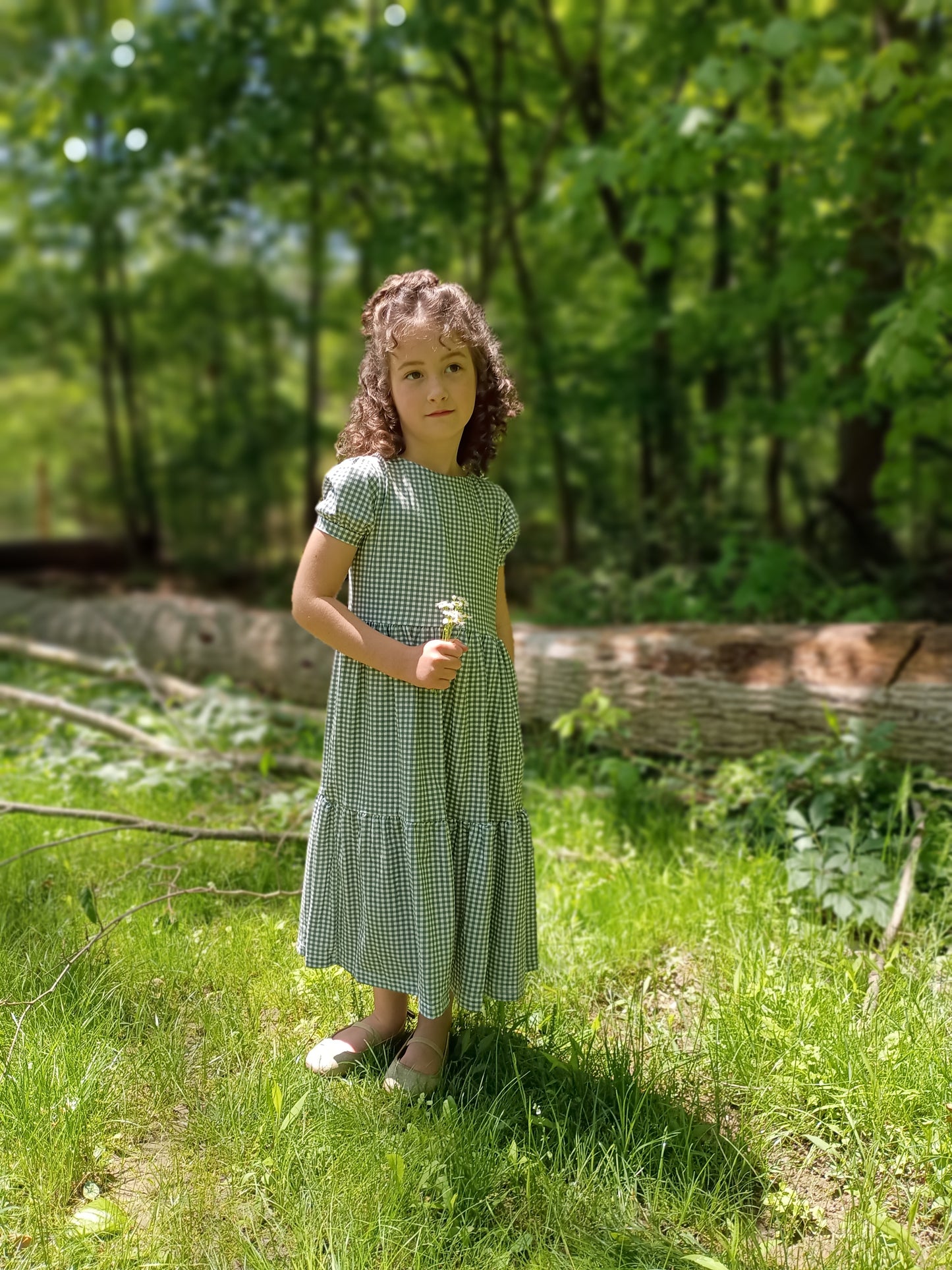 Sweetgrass Gingham ~ Novella Dress