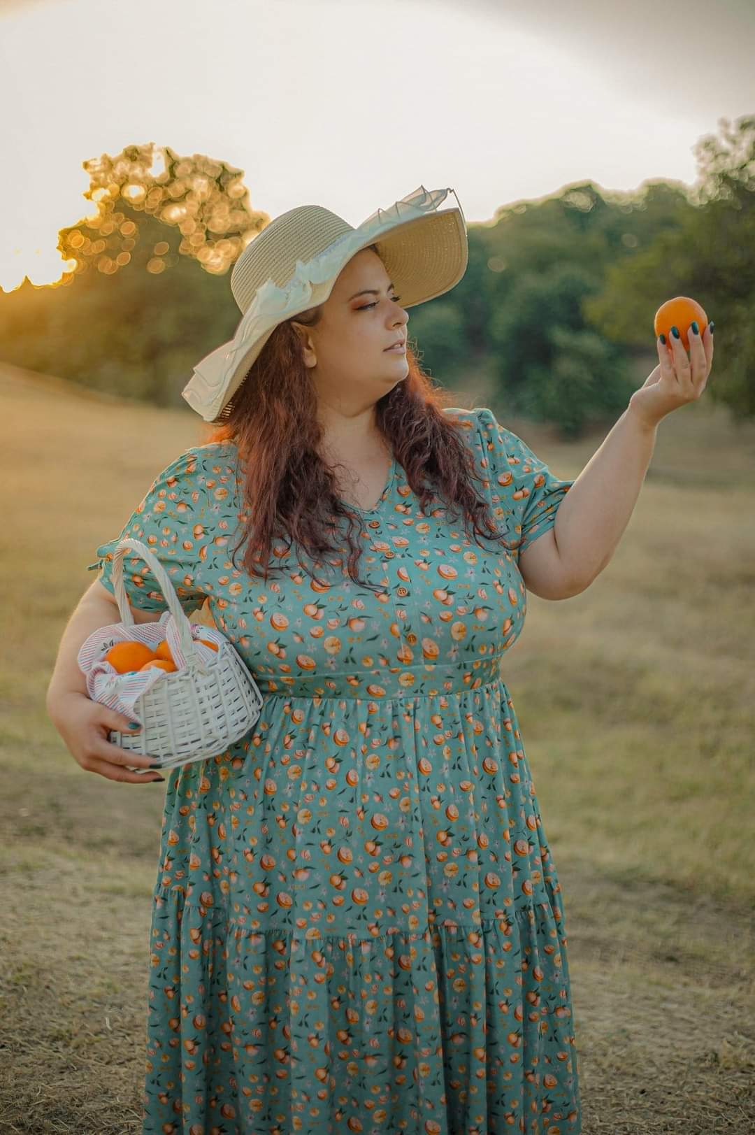 Clementine ~ Hinterland Dress