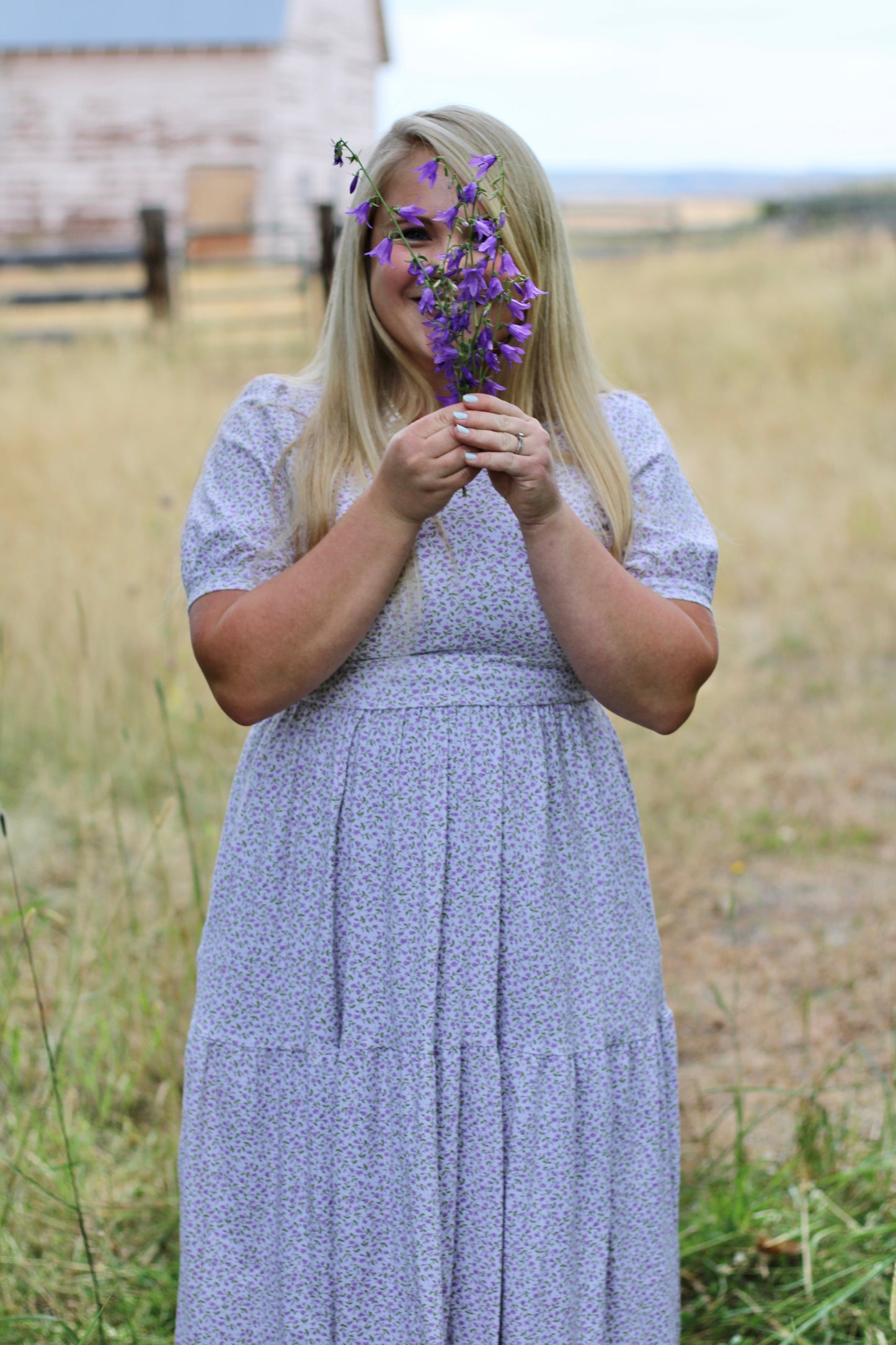 Lavendel ~ Nursing Storybook Dress