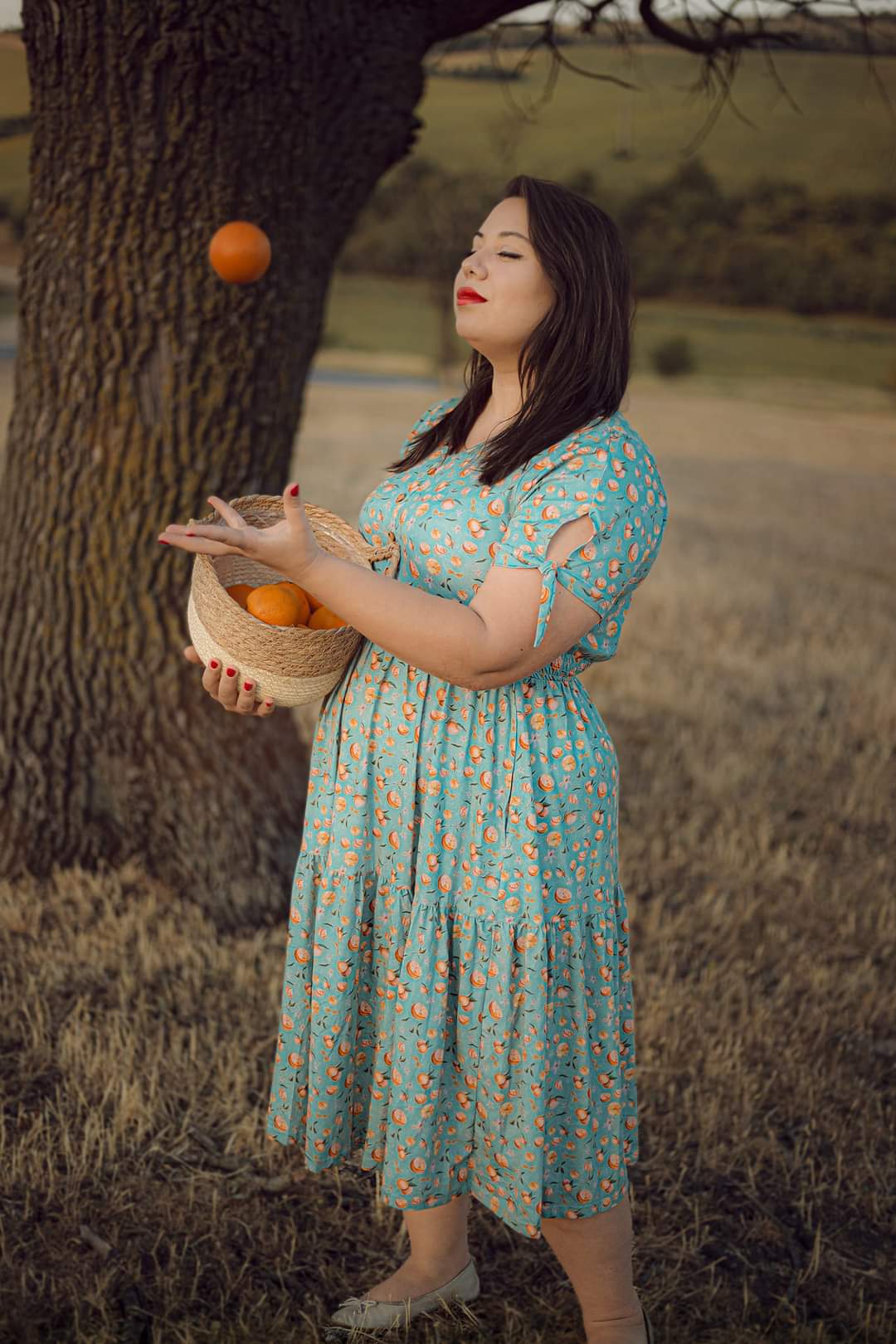 Clementine ~ Hinterland Dress