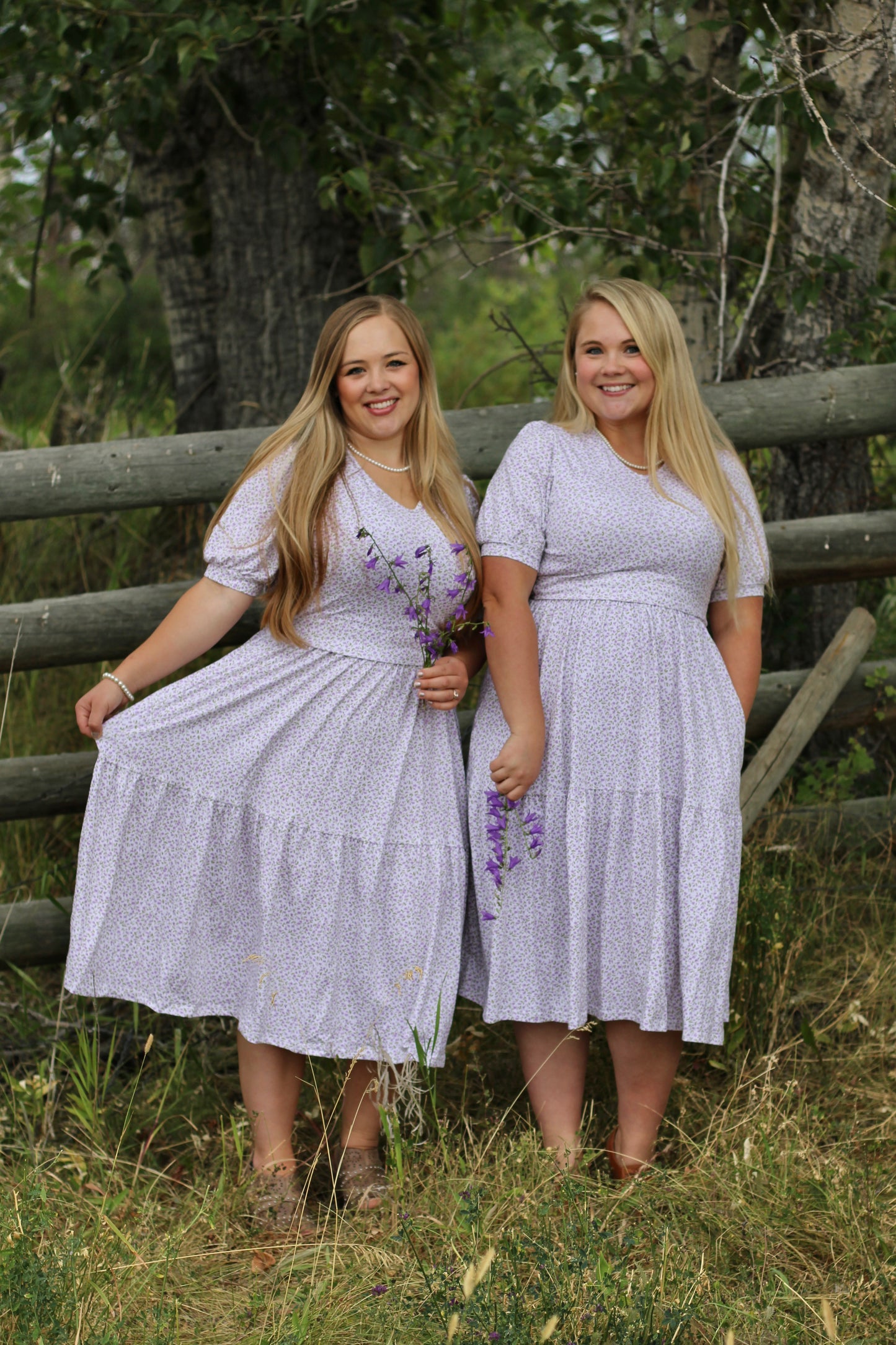 Lavendel ~ Nursing Storybook Dress