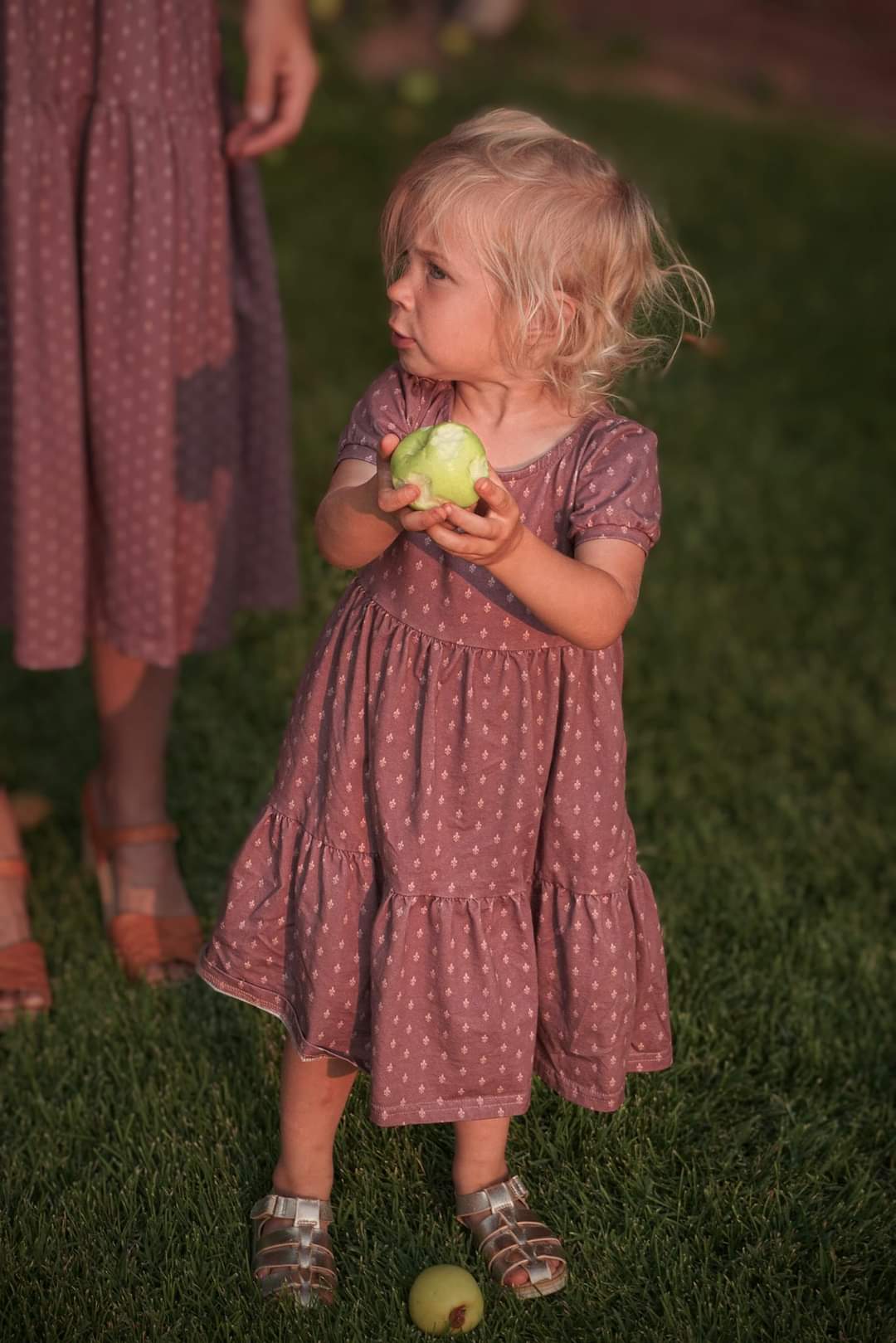 Fleur-de-Lis ~ Novella Dress