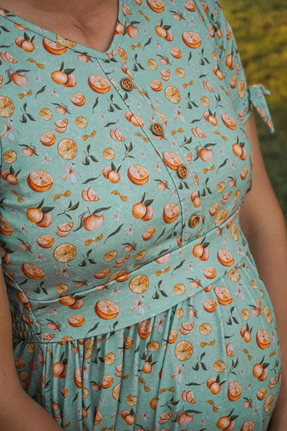 Clementine ~ Hinterland Dress