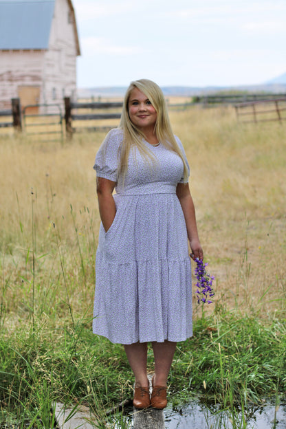 Lavendel ~ Nursing Storybook Dress