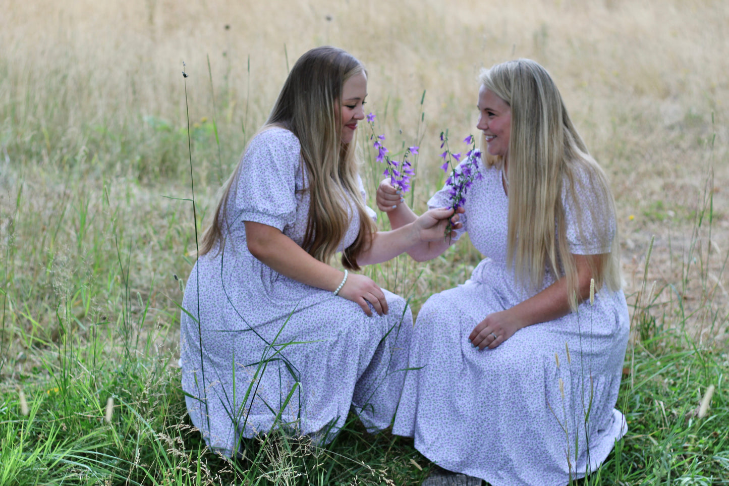 Lavendel ~ Nursing Storybook Dress