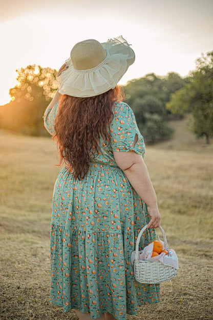 Clementine ~ Hinterland Dress