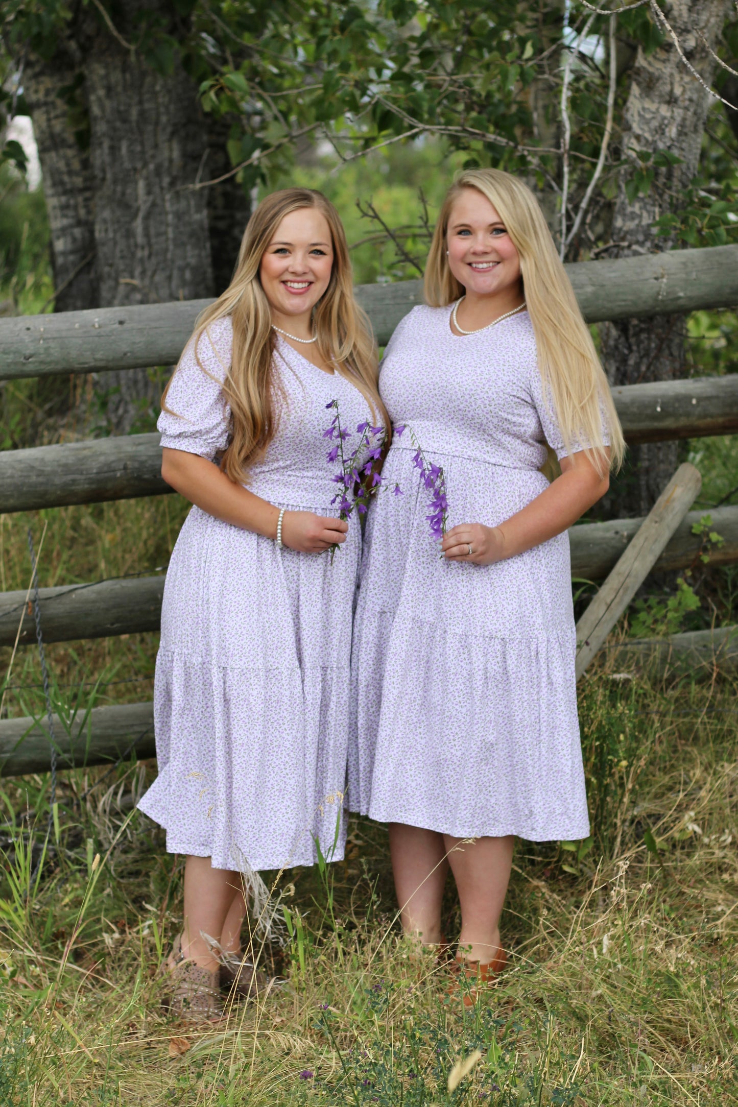 Lavendel ~ Nursing Storybook Dress