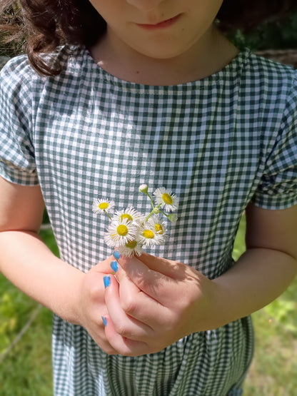 Sweetgrass Gingham ~ Novella Dress