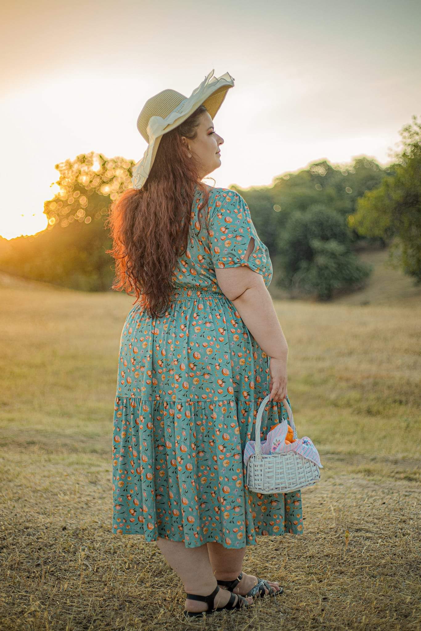 Clementine ~ Hinterland Dress