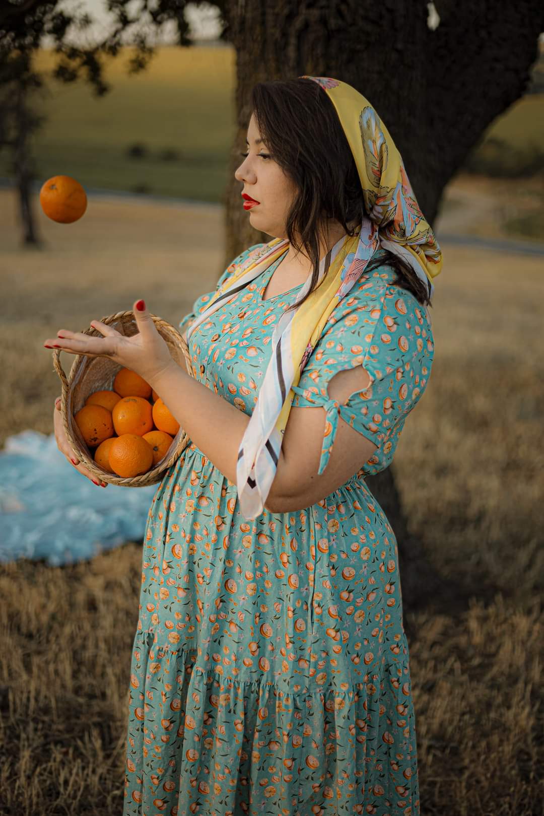 Clementine ~ Hinterland Dress