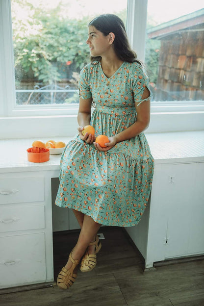 Clementine ~ Hinterland Dress