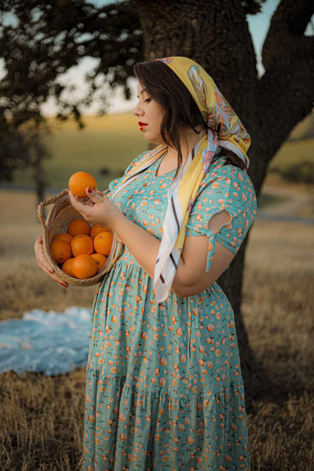 Clementine ~ Hinterland Dress