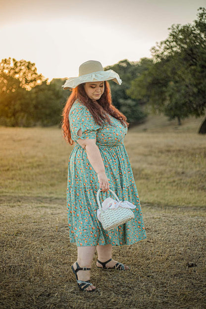 Clementine ~ Hinterland Dress