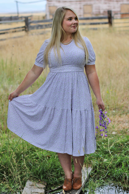 Lavendel ~ Nursing Storybook Dress