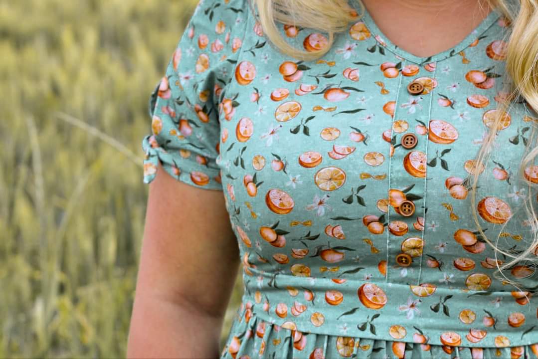 Clementine ~ Hinterland Dress