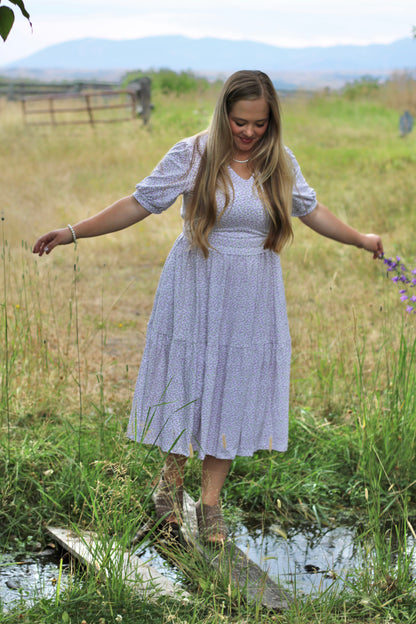 Lavendel ~ Nursing Storybook Dress