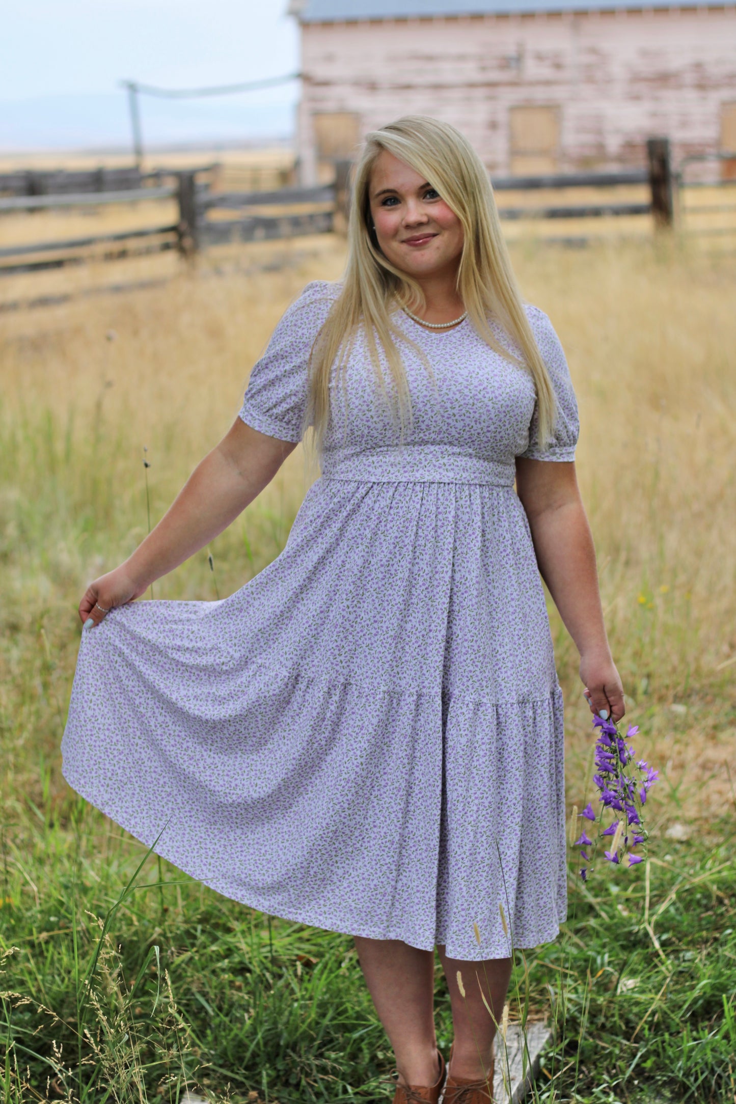 Lavendel ~ Nursing Storybook Dress