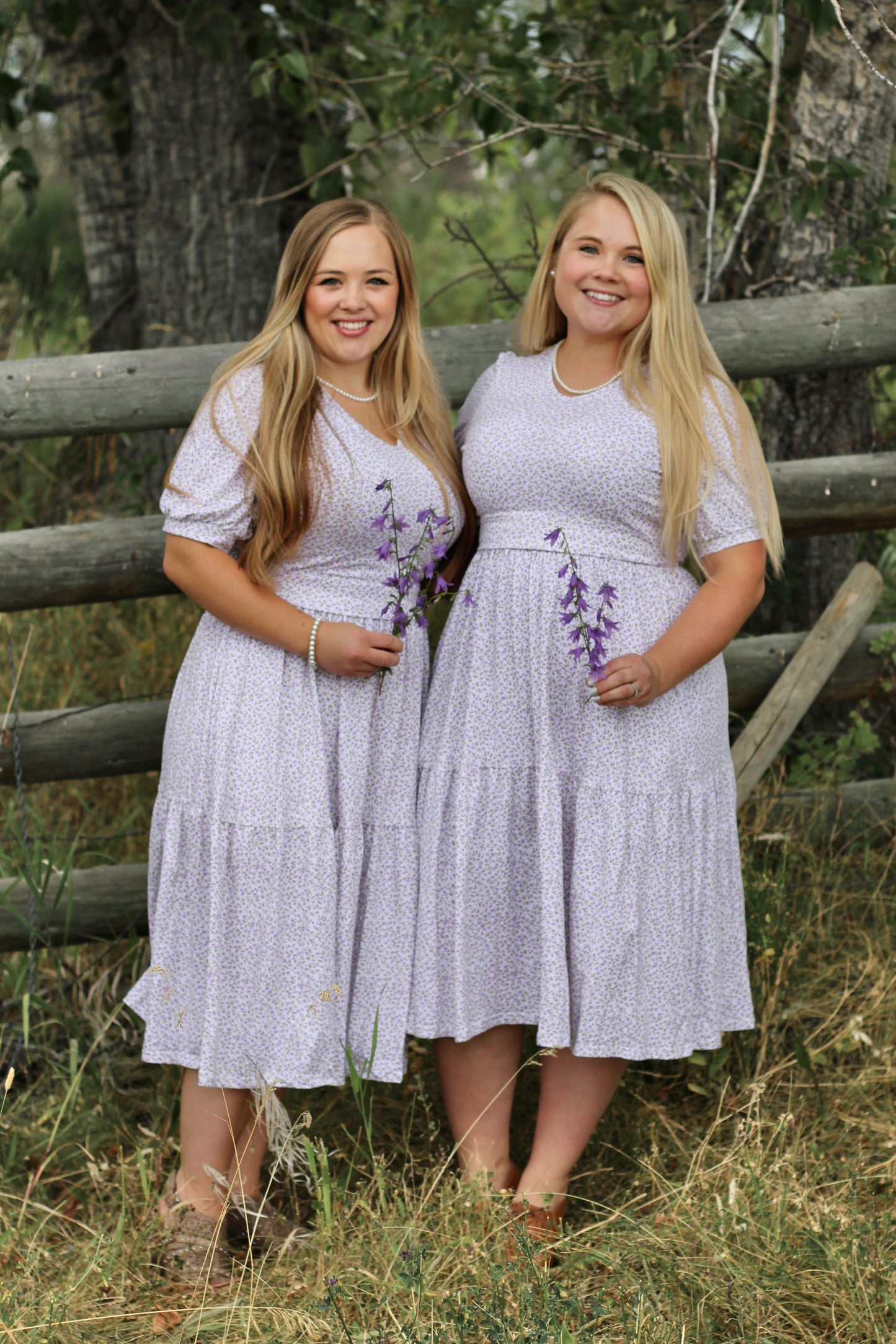 Lavendel ~ Nursing Storybook Dress