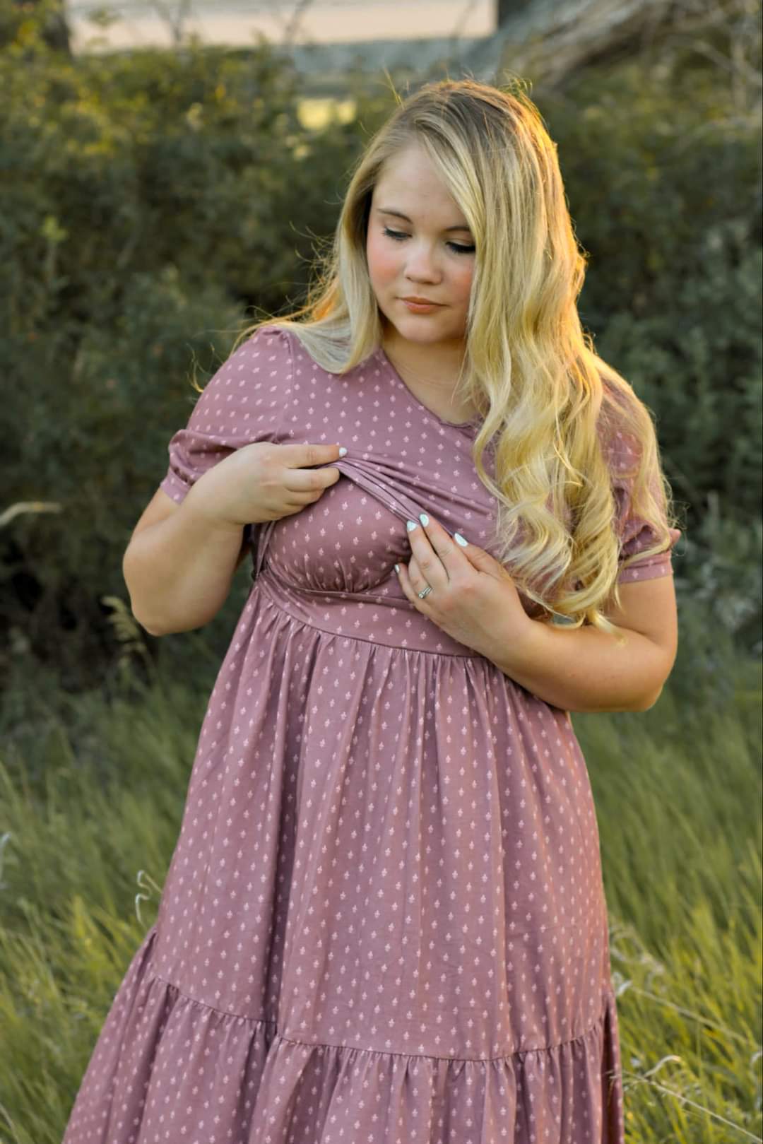 Fleur-de-Lis ~ Storybook Dress