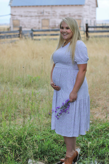 Lavendel ~ Nursing Storybook Dress