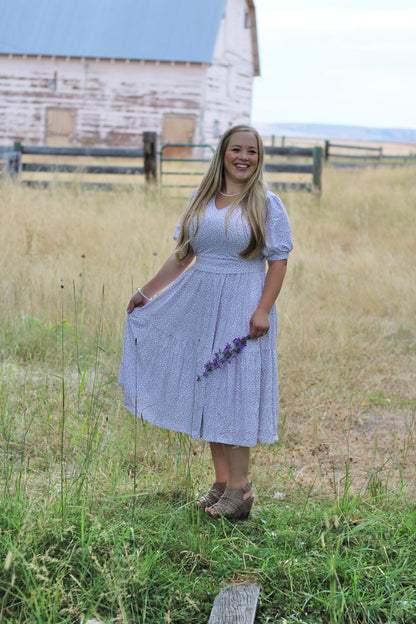 Lavendel ~ Nursing Storybook Dress