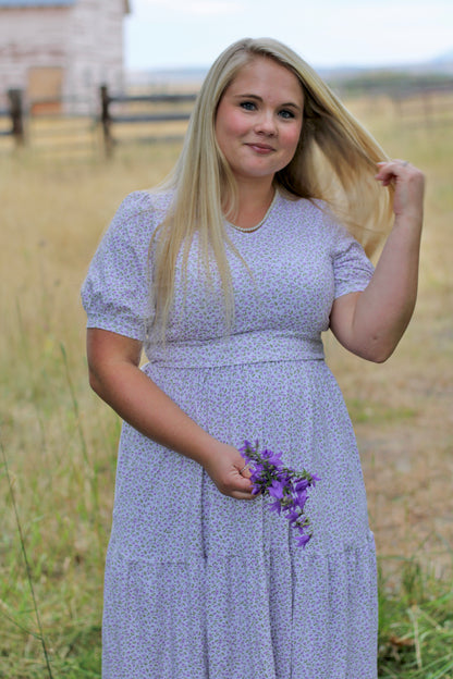 Lavendel ~ Nursing Storybook Dress