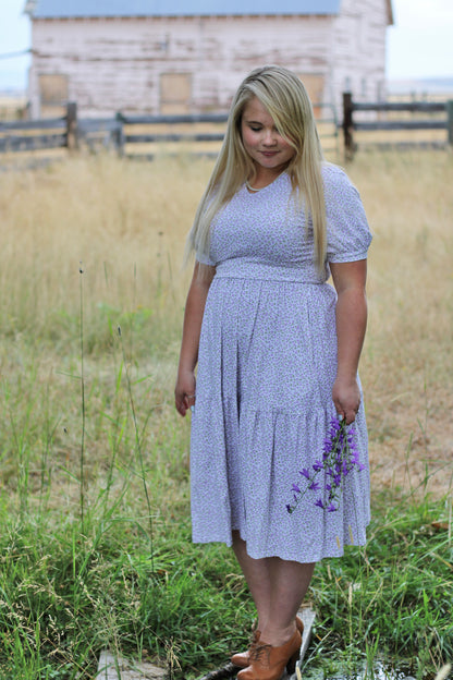 Lavendel ~ Nursing Storybook Dress