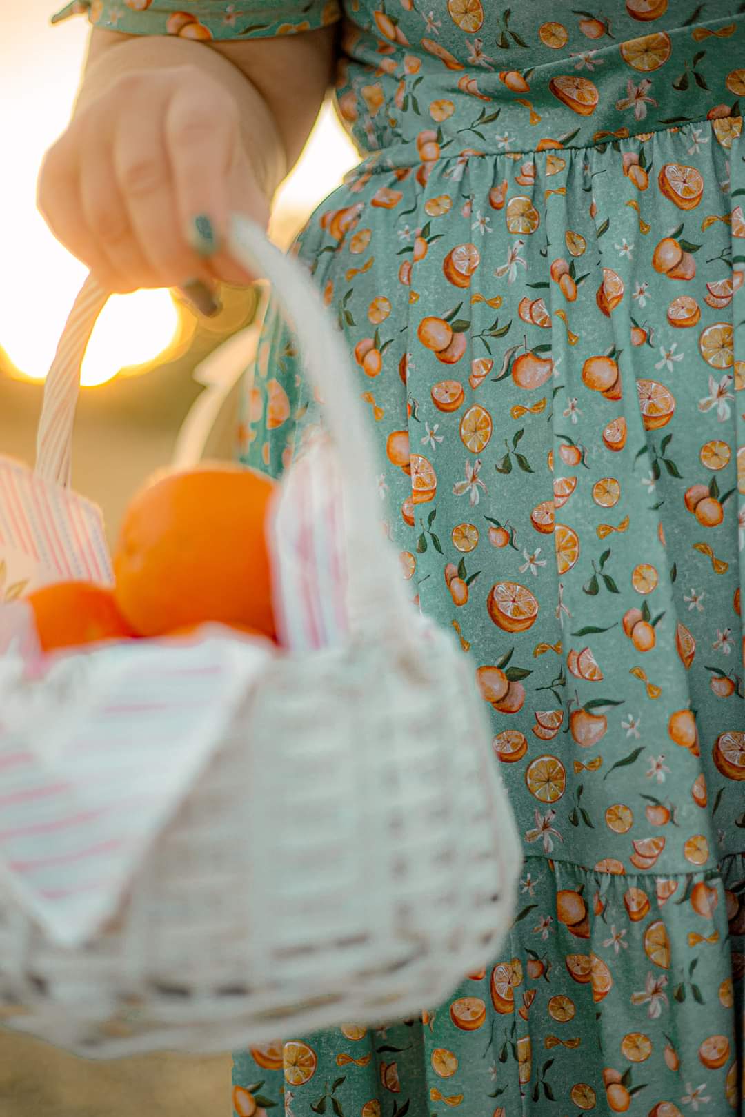 Clementine ~ Hinterland Dress