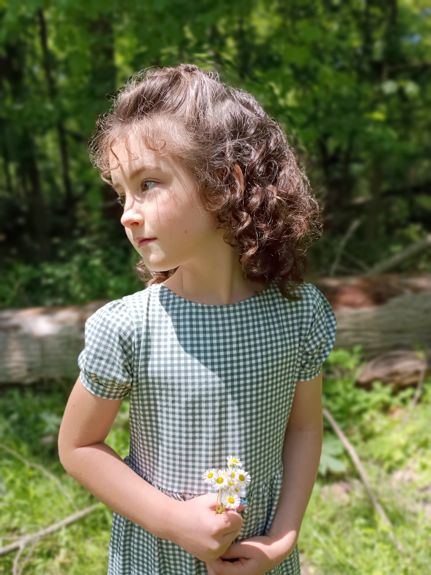 Sweetgrass Gingham ~ Novella Dress