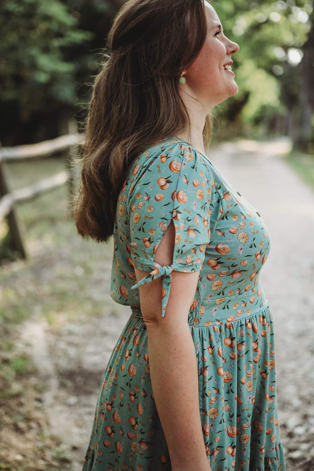 Clementine ~ Hinterland Dress